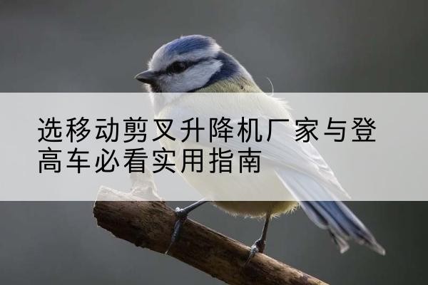 涵江电动升降机厂家-选移动剪叉升降机厂家与登高车必看实用指南