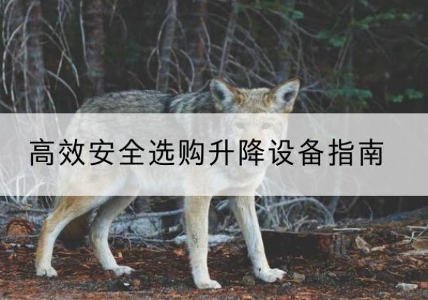 涵江升降货梯厂家推荐-*安全选购升降设备指南