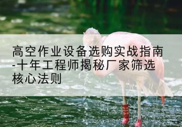 涵江剪叉式升降机厂家-高空作业设备选购实战指南-十年工程师揭秘厂家筛选核心法则